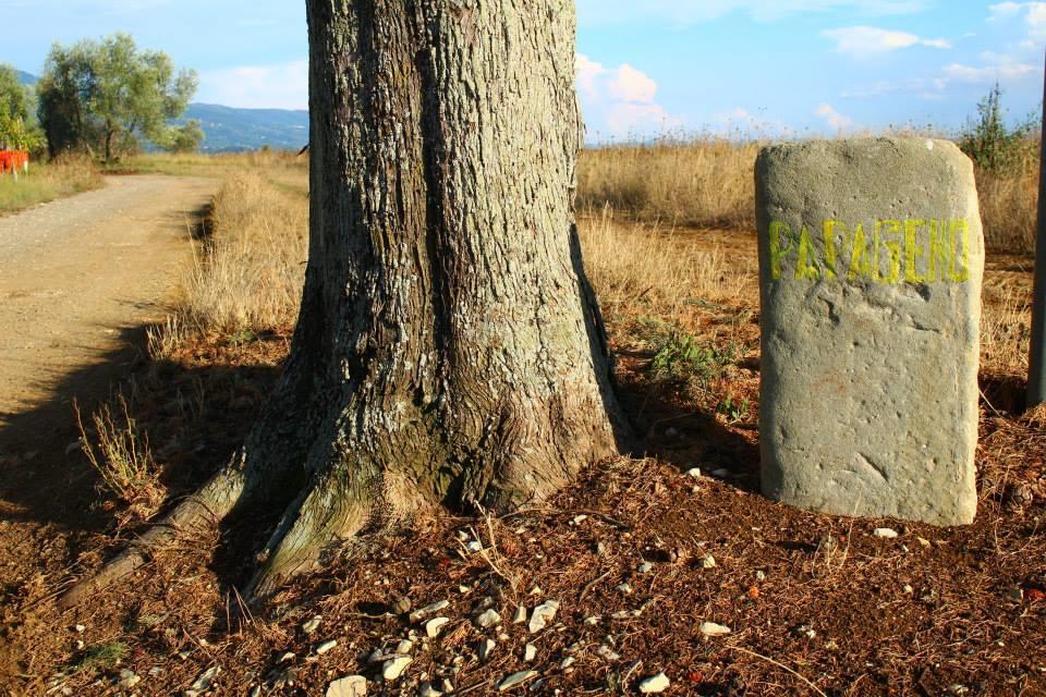 Agriturismo Papageno 리냐노술라르노 외부 사진